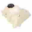 112216-n2 Ims Products Large Capacity Gas Fuel Tank 3.6 Gallons Natural