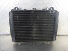 16x2.15 Kawasaki Radiator