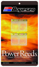 6106 Boyesen Power Reeds