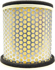 1ae-4br-14451-00 794777185175 Yamaha Diversion Air Filter By Emgo