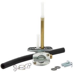 Fs101-0036 All Balls Fuel Valve Kit