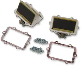 Rad-53-2 Boyesen Rage Cage Reed System Arctic Cat Ho 800 2010-2012