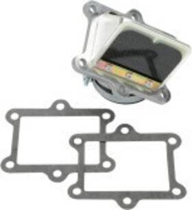 Rad02d Boyesen Rad Valve Cr250 Ft00 Carbon Fiber/composite Dual Stage