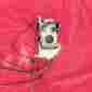 Fcr-mx40 Fcr-mx Keihin New 40mm Flat Slide Carburetor