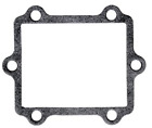 G364 V-force Reeds Moto Tassinari