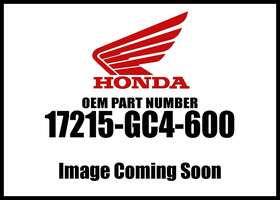 17215-gc4-600 Honda 1985-2007 Cr A/clnr Elem Stay New Oem