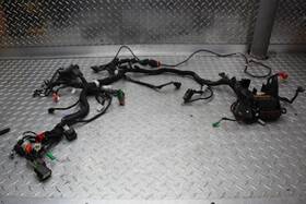 7814441 Husqvarna 2021 Svartpilen 401 Wiring Harness