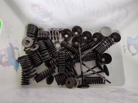 12004-1120 Kawasaki 1995-97 Ninja Zx6r Intake Valve Parts