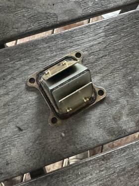Kawasaki 38482-2 Kx80 Reeds Oem