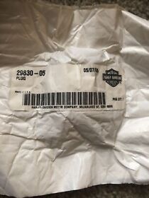 29830-05 Nos Harley Davidson Chrome Intake Backplate Plug