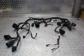 2206160 Royal Enfield 2019 Himalayan Wiring Harness