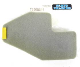 T2400546 Triumph Oem Genuine Fuel/gas Tank Foam Insulation Speed Triple
