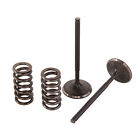 28.ses2414-1 Yz250f Mfg Pro X Steel Exhaust Valve Spring Kit Yamaha 2014