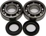 Balls 1983-2004 KX500 Kawasaki Crankshaft Bearing/seal Kit 24-1011. Fixed Price $111.27.