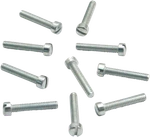 S&s Cycle Slotted Flat Head Screw 500150. Fixed Price $13.95.
