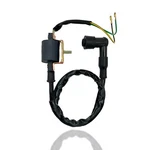 Ignition Coil For 110CC Coolster Atv Quad 3050AX 3050B-2 New. Fixed Price $25.95.