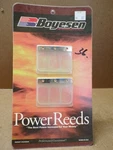 Boyesen 617 Valves 1982-1998 Ktm 250SX/MX 1990-1998 300SX Reeds. Fixed Price $28.99.