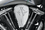 Baron Custom Accesories 'pinstripe Chrome' Big Air Kit For 2006-2010 Kawasaki.... Fixed Price $327.66.