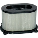 Hiflofiltro Air Filter HFA3609. Fixed Price $32.19.