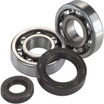 Balls Crankshaft Bearing / Seal Kit For Kawasaki Kx 500 83-04 24-1011. Fixed Price $111.27.