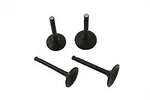 Nitrate Intake And Exhaust Valve Set For Harley Davidson By V-twin. Fixed Price $97.40.