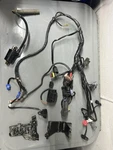 2024 Gas MC250F Factory Edition Wiring Harness. Fixed Price $180.00.