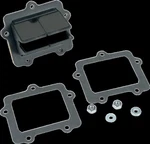 V-force/moto Tassinari V307B Reeds Kawasaki. Fixed Price $171.66.