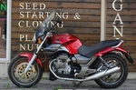 Moto Guzzi Brevia V750IE Stainless Steel Screw Kit With 212 Fasteners. Fixed Price $35.00.
