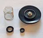 TRX450R, TRX450ER 06-14 Carburetor Accelerator Pump Rebuild Kit. Fixed Price $69.95.
