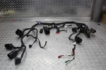 2019 Royal Enfield Himalayan Wiring Harness. Fixed Price $199.99.