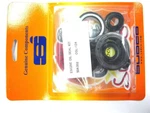 Kawasaki S1-S2-S3-KH400 Complete Engine Trans Case Cover Oil Seal KIT-22 Pieces. Fixed Price $57.99.