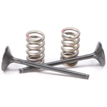 Pro Steel Exhaust Valve And Spring Kit 28.SES2414-1. Fixed Price $139.99.