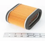 Hiflo HFA1713 Air Filter. Fixed Price $39.29.