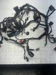2025 Kawasaki Ninja EX500 Main Engine Wiring Harness Wire Loom 26031-4294 Oem. Fixed Price $98.99.
