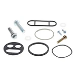 Balls Fuel Tap Repair Kit 60-1097 Kawasaki ZX600 (ZX-6R) 98-02 Ships Today. Fixed Price $39.76.