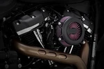 Vance & Hines VO2 Rogue Air Cleaner Kit Black 40381 Harley Davidson. Fixed Price $439.99.
