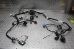 2001 Yamaha FZ1 Wiring Harness. Fixed Price $119.99.
