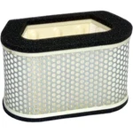 Hiflofiltro Air Filter HFA4907. Fixed Price $27.69.