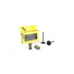 Pro X Intake Valve & Spring Kit For Husqvarna FE350 2014-2016. Fixed Price $188.83.