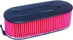 Hiflo - HFA1706 Air Filter. Fixed Price $21.56.