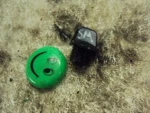 Derbi Senda H MK1 Engine Oil Fill Plug Screw Assy. Fixed Price $10.65.