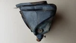 1986-2001 Suzuki Cleaner Case Cage & Bolt 13700-02B53. Fixed Price $51.59.