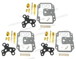 3 X Carburetor Rebuild Repair Kit Jet Gasket Lemans. Fixed Price $41.98.