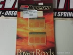 Nos Boyesen 696 Power Reeds Honda CR250R. Fixed Price $26.99.