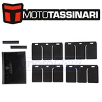 Moto Tassinari Reed Petals V-force 3 System 2007-2008 Polaris Zw. Fixed Price $70.54.