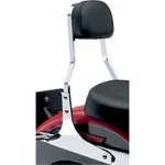 Cobra Short Sissy Bar Flstc/n 602-1204. Fixed Price $356.01.