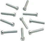 S&s Cycle 50-0150 Slotted Flat Head Screws 10-PACK. Fixed Price $19.95.