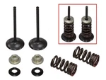 Psychic Intake Valve Kit XU-09530IK For Efficient Engine Air Management. Fixed Price $77.88.