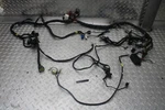 2005 Yamaha Royal Star XVZ1300TF Venture Main Engine Wiring Harness Has Video. Fixed Price $149.99.