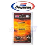 Boyesen Power Reeds For 2001-2002 Kawasaki KX125 Fuel & Air Zy. Fixed Price $42.71.